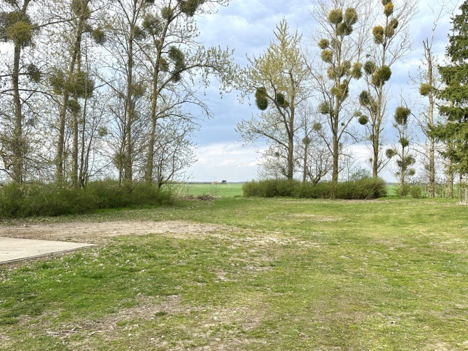 Grundst�ck Einfamilienhaus Friedland / Jatzke