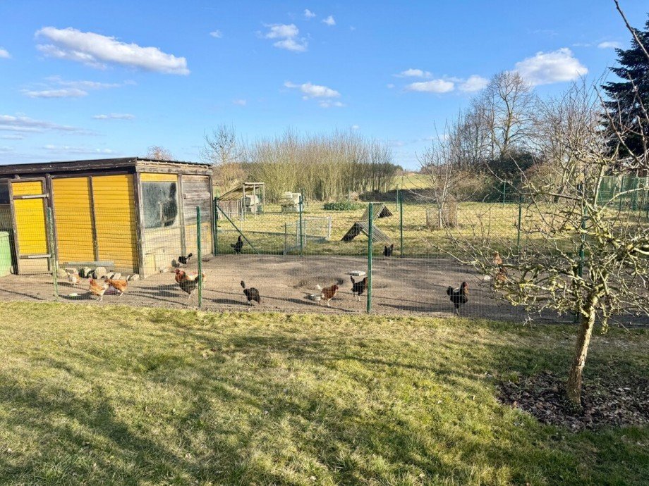 das Grundst�ck Einfamilienhaus C�lpin