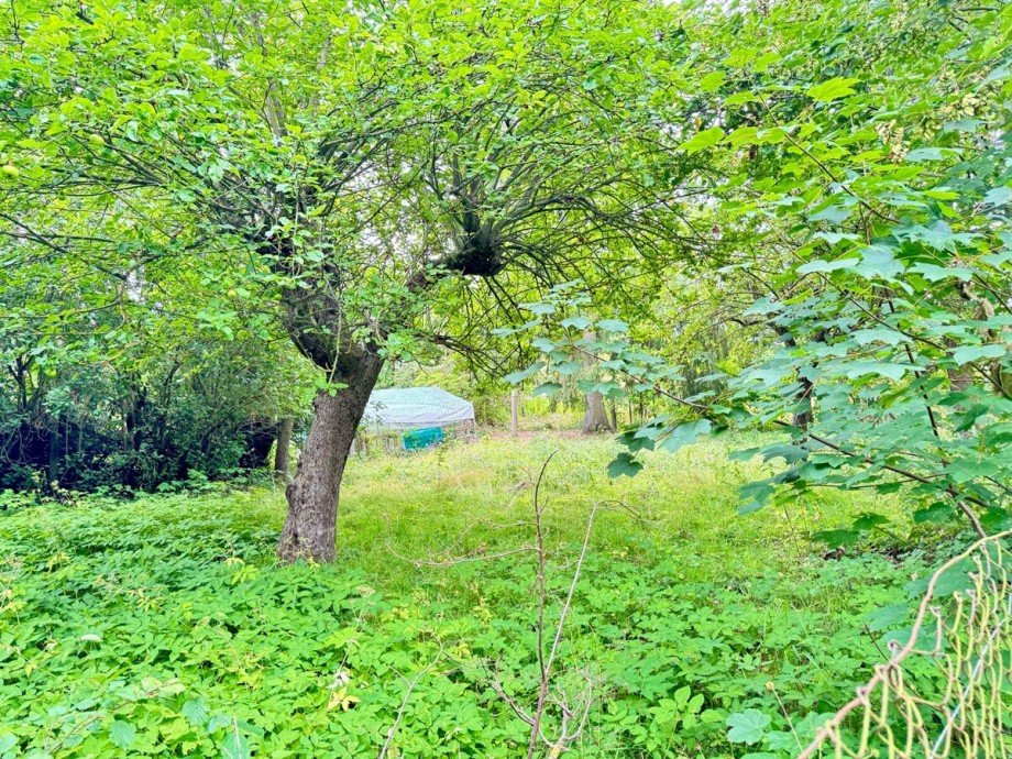 Garten am See Reihenhaus Penkun