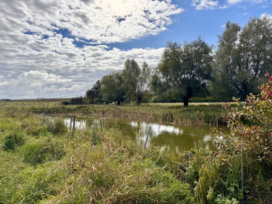 das Grundst�ck Land- / Forstwirtschaft - Grdst. L�cknitz