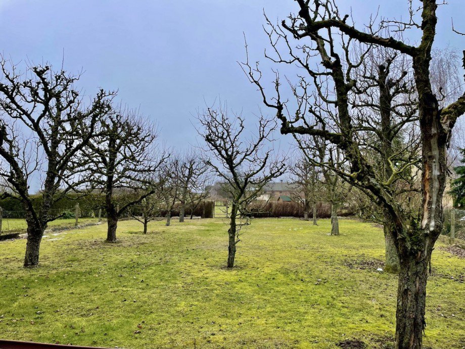 Grundst�ck Einfamilienhaus Bergholz
