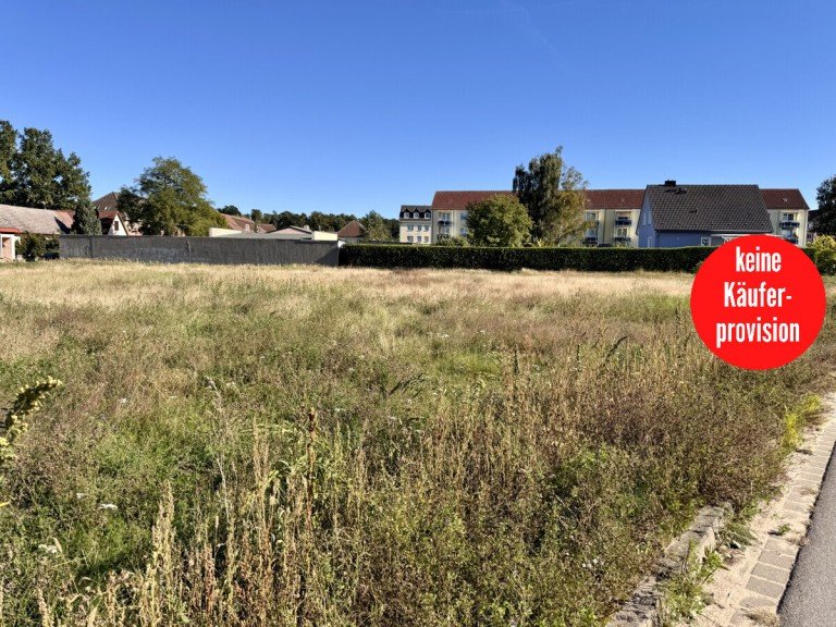 Baugrundst�cke in Eggesin Eggesin Wohngrundst�ck HORN IMMOBILIEN ++ Baugrundst�cke in Eggesin