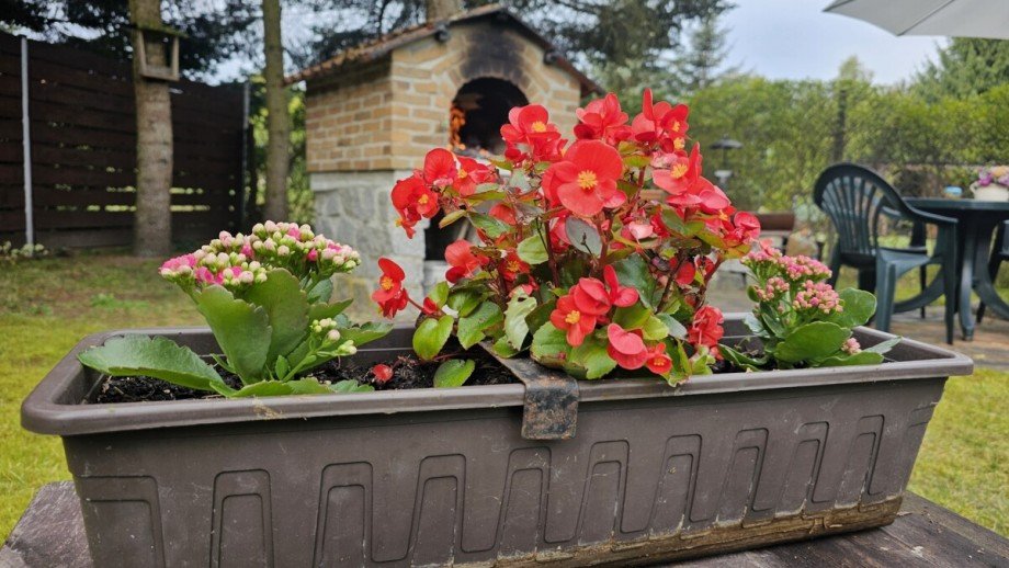 Detail Ferienhaus Wokuhl-Dabelow / Carolinenhof