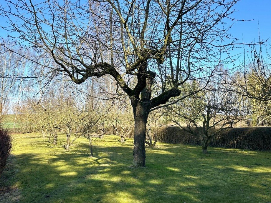 Obstbaumgarten Einfamilienhaus Uckerland / G�terberg
