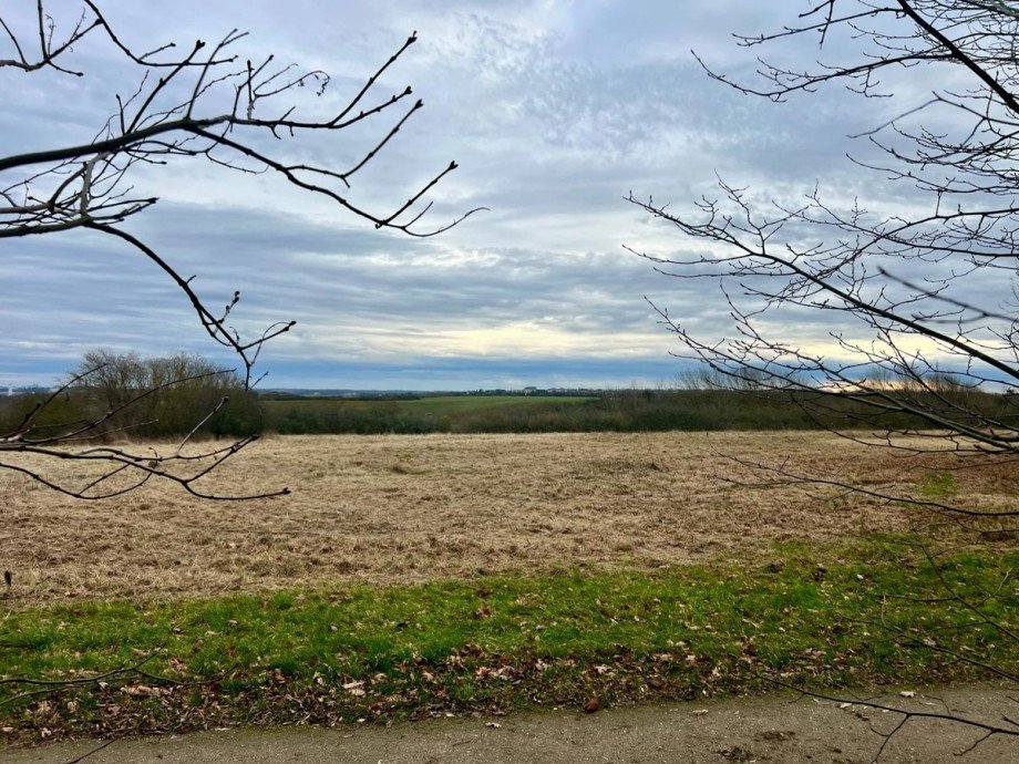 Ausblick Grundst�ck Einfamilienhaus Neubrandenburg
