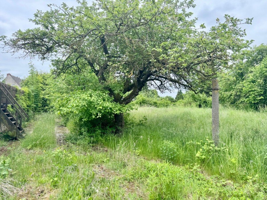 das Grundst�ck Einfamilienhaus Altentreptow