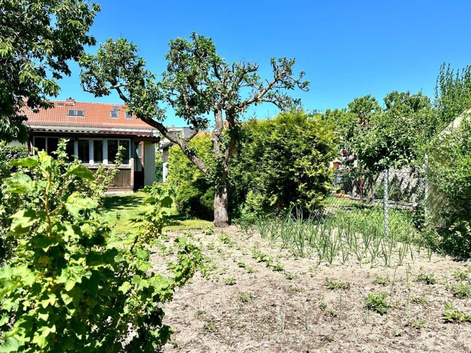 Gem�segarten Reihenhaus Ueckerm�nde / Bellin