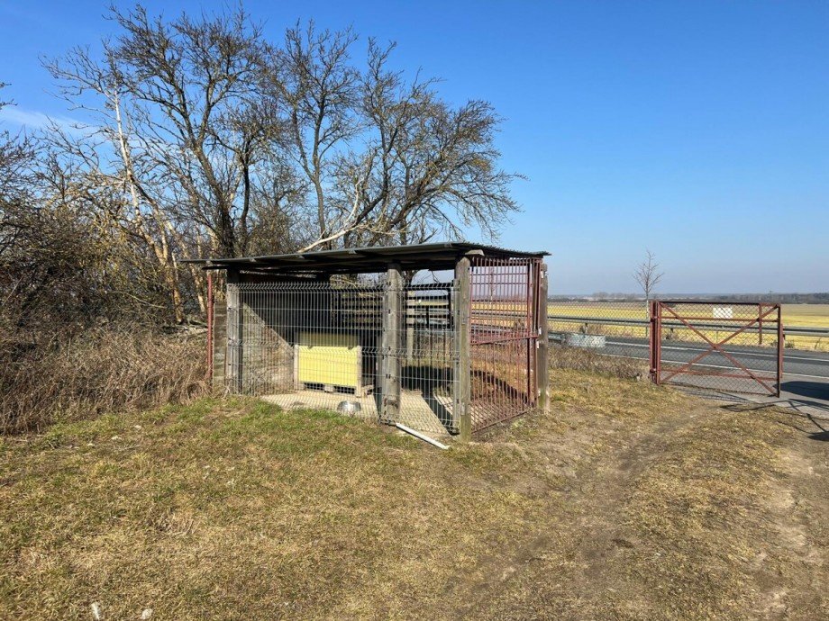 Hundezwinger Einfamilienhaus Zerrenthin
