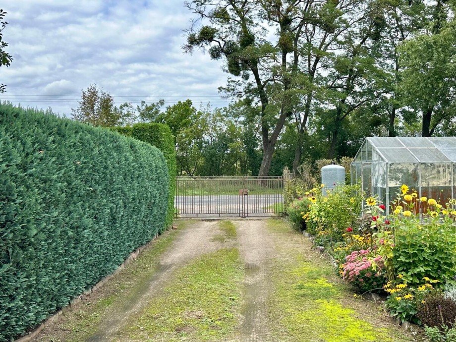 Grundst�ckszufahrt Einfamilienhaus Eichhof
