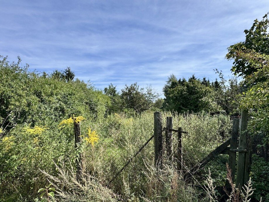 Grundst�ck Einfamilienhaus Pampow