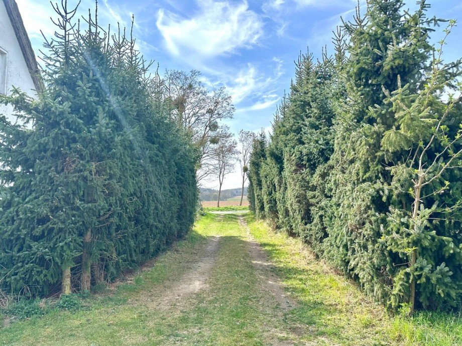 zweite Grundst�ckszufahrt Einfamilienhaus Strasburg / Gehren