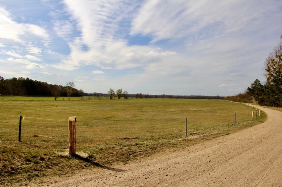 Blick aus dem Atelier-Fenster Einfamilienhaus Viereck