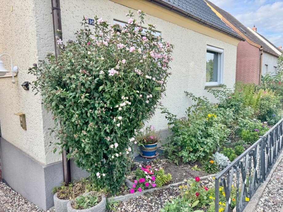 Vorgarten Haus Neubrandenburg / S�dstadt