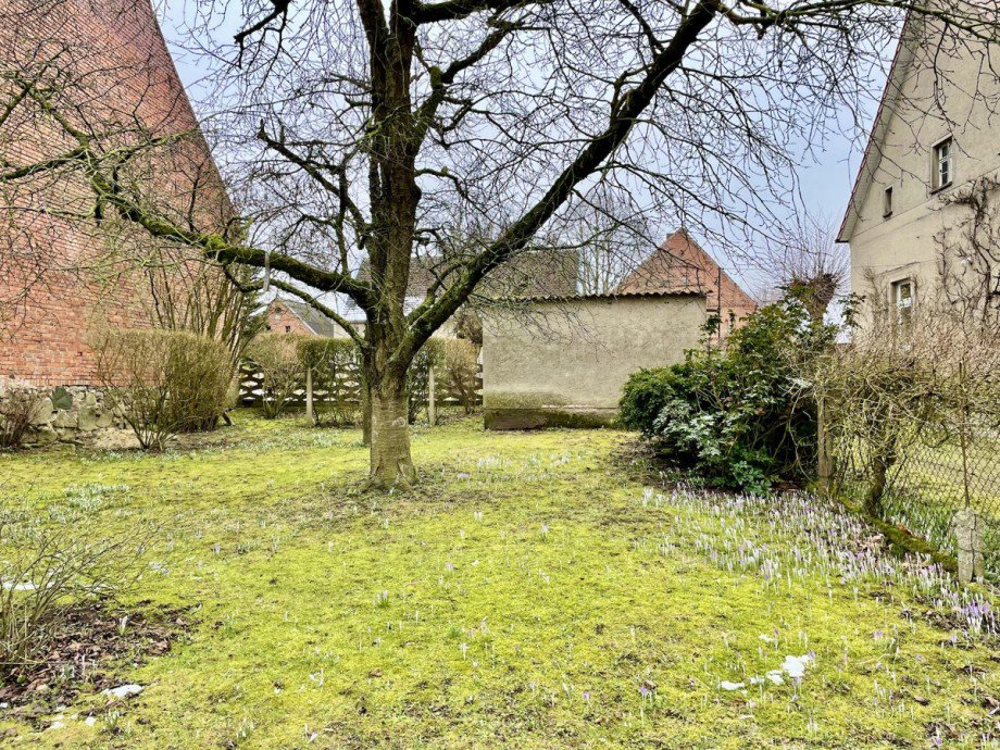 Grundst�ck Einfamilienhaus Bergholz