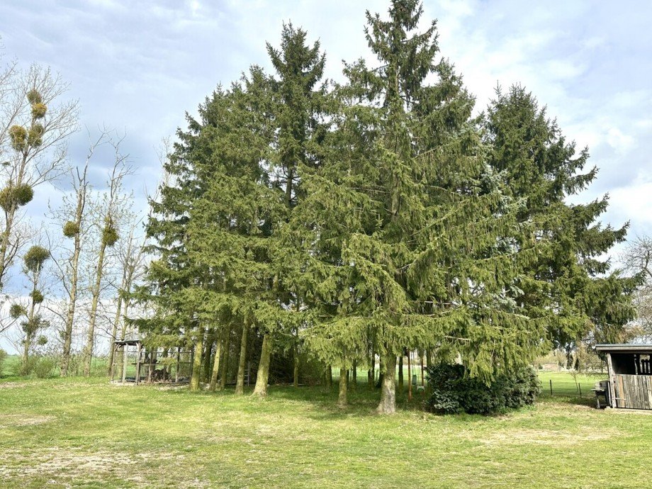 Grundst�ck Einfamilienhaus Friedland / Jatzke