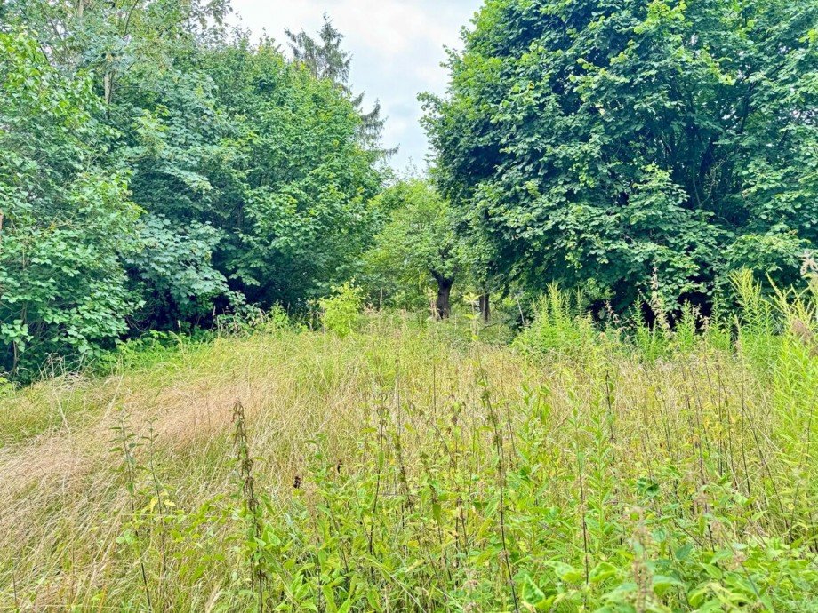 Garten am See Reihenhaus Penkun