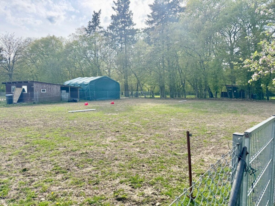 das Grundst�ck Pferdekoppel Einfamilienhaus Werder OT Wodarg