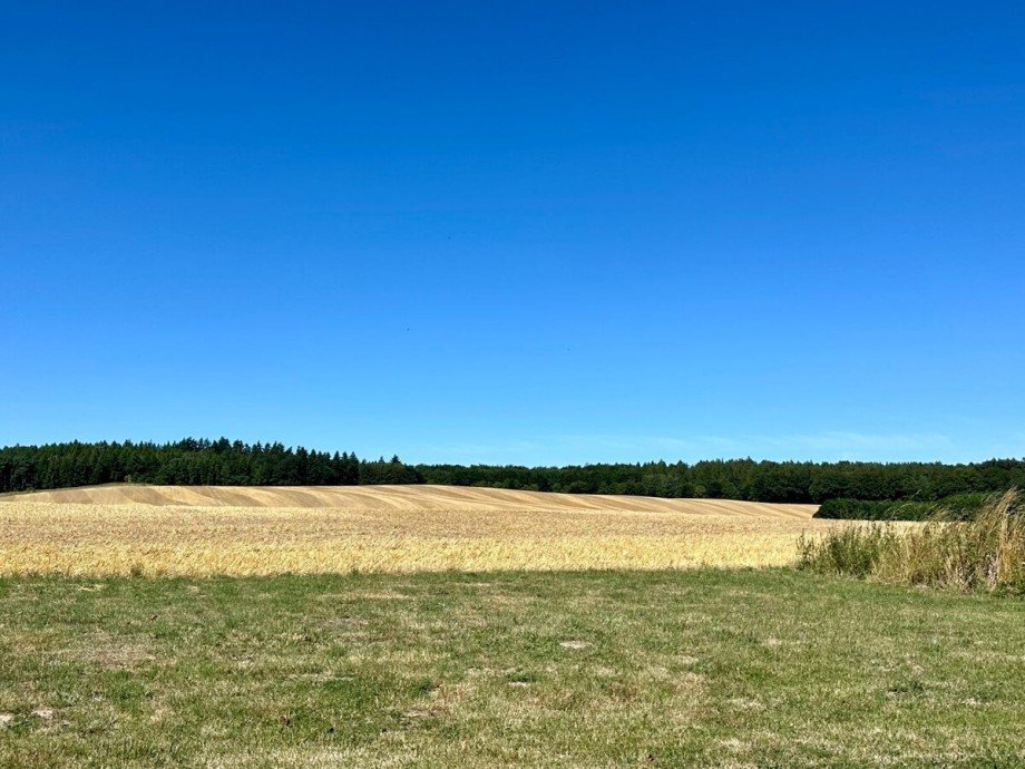 Aussicht Einfamilienhaus Sch�nhausen