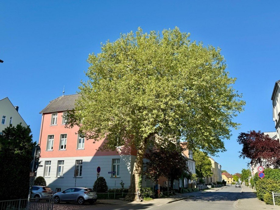 Stra�enansicht Erdgeschosswohnung Neubrandenburg