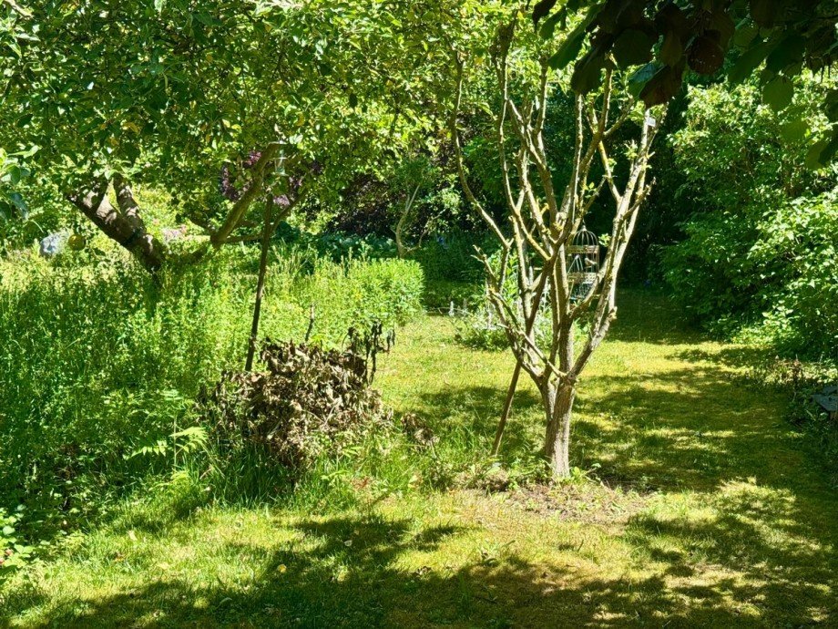 das Grundst�ck Einfamilienhaus Burg Stargard