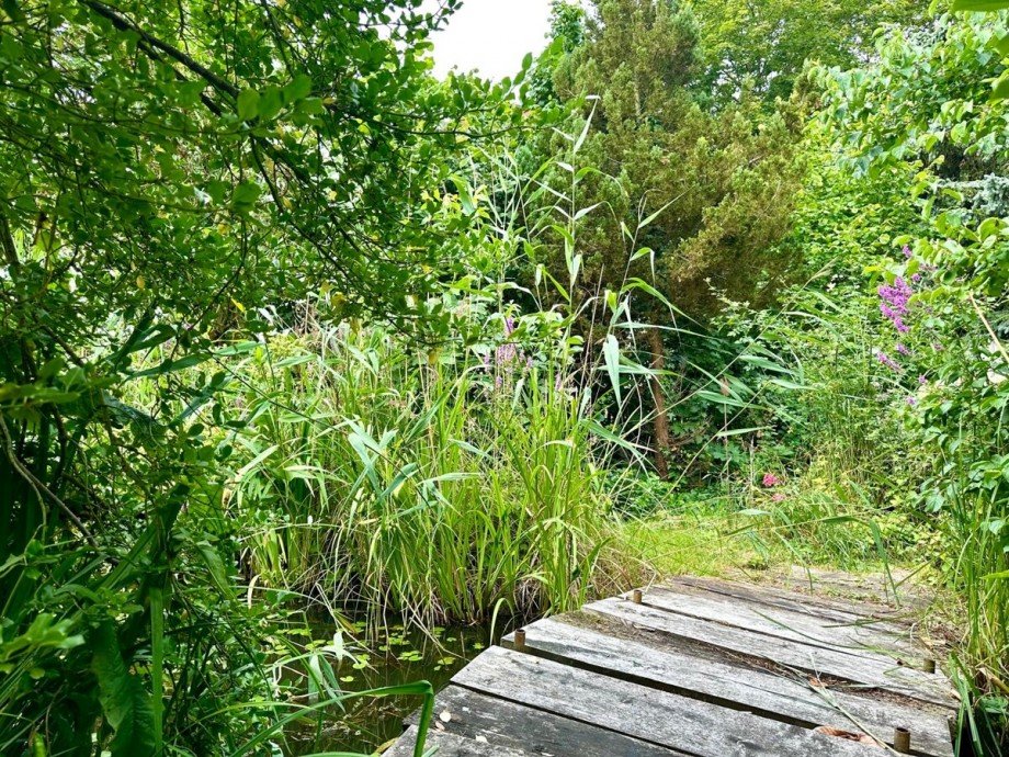 Gartenteich Einfamilienhaus Ferdinandshof