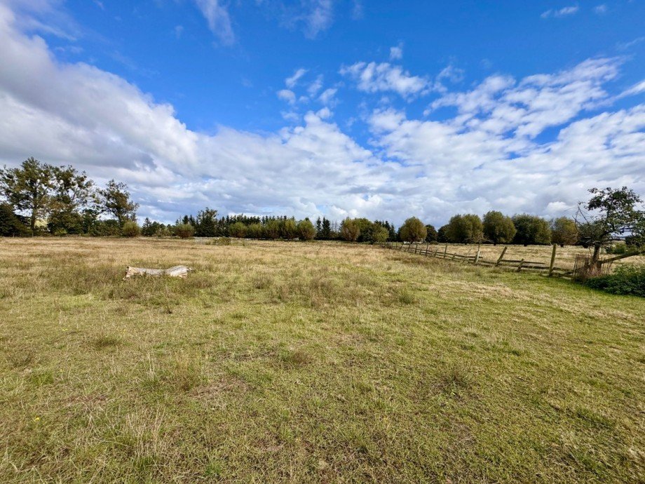 das Grundst�ck Land- / Forstwirtschaft - Grdst. L�cknitz