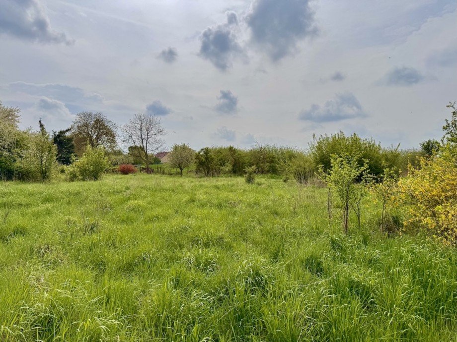 Grundst�ck Mehrfamilienhaus Penkun