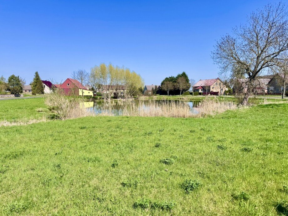Dorfteich Doppelhaush�lfte Gartz (Oder) / Hohenreinkendorf