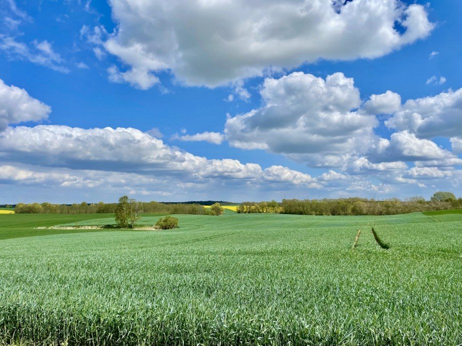 Umgebung Einfamilienhaus Mescherin / Radekow