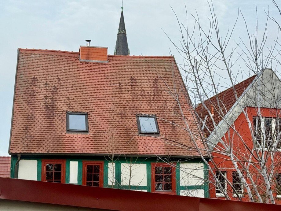 R�ckseite Einfamilienhaus Friedland