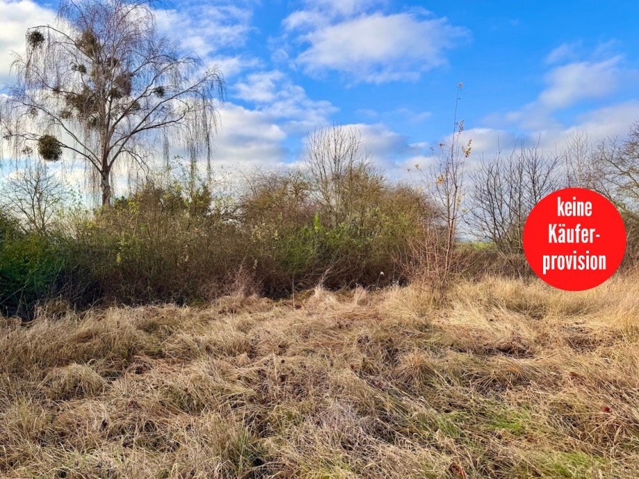 Baugrundst�cke in Penkun Wohngrundst�ck Penkun