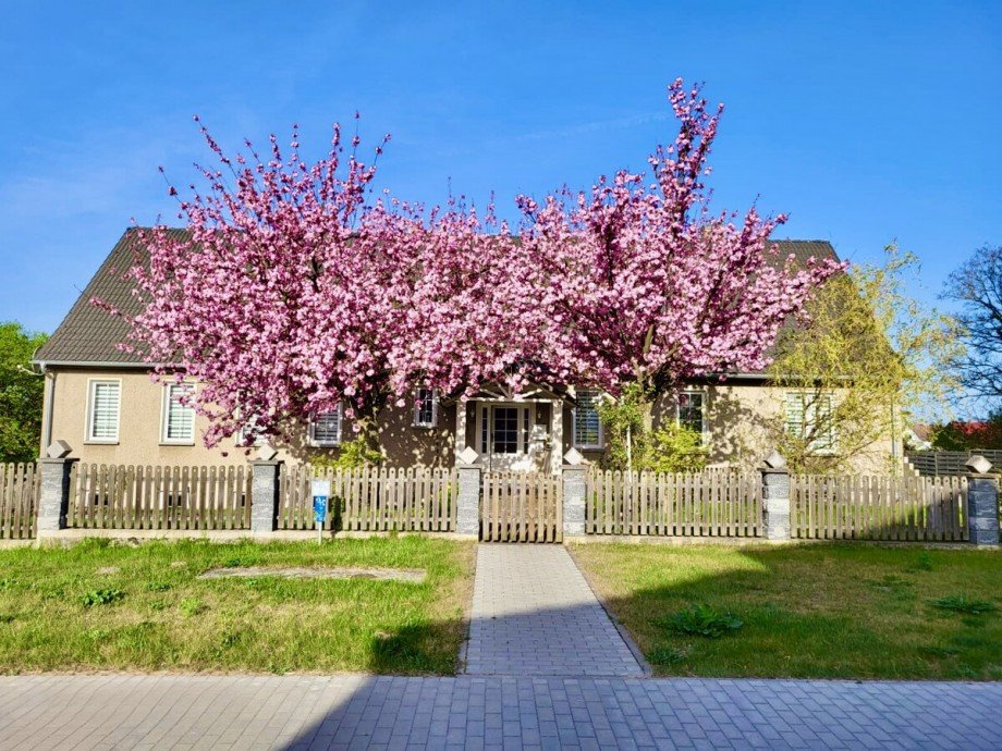 Hausansicht Haus Gartz