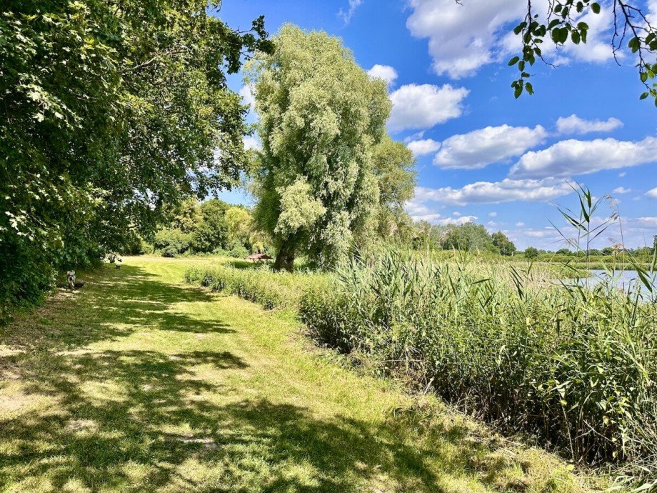 Weg zur Badestelle Ferienhaus Krackow