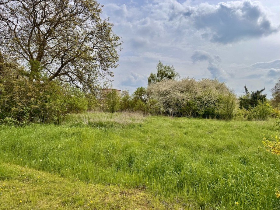 Grundst�ck Mehrfamilienhaus Penkun