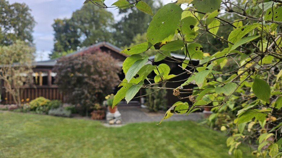 Grundst�ck Ferienhaus Wokuhl-Dabelow / Carolinenhof