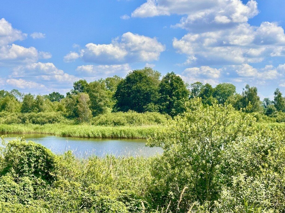 See mit Insel Ferienhaus Krackow