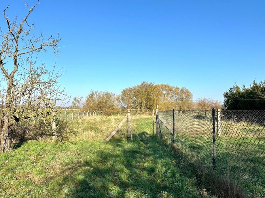Grundst�ck Einfamilienhaus Torgelow