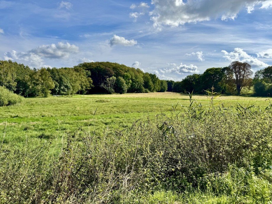 Fl�che zur Pacht Einfamilienhaus Breesen / Schwandt