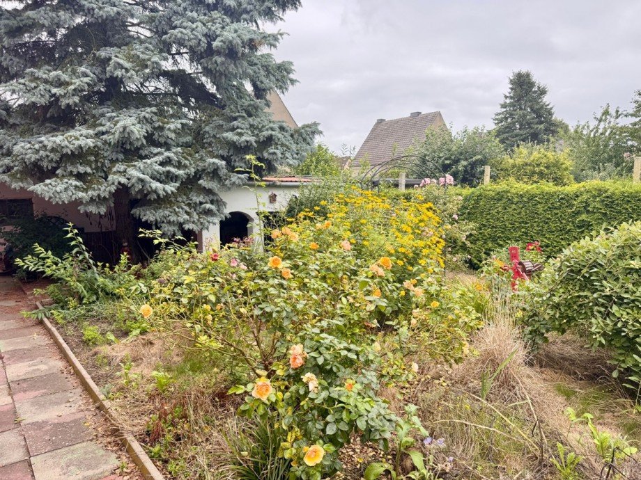 Grundst�ck Einfamilienhaus Ueckerm�nde