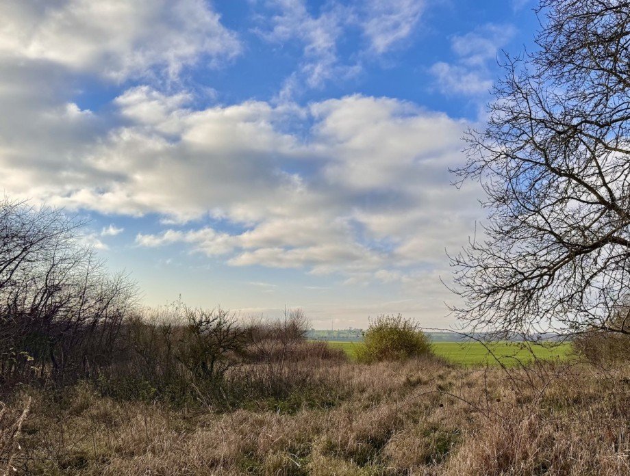 Grundst�ck Wohngrundst�ck Penkun