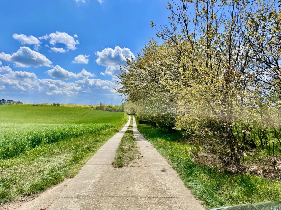 Umgebung Einfamilienhaus Mescherin / Radekow