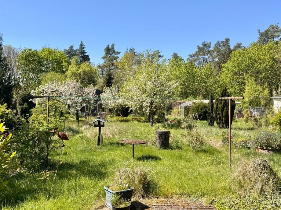 Blick vom Balkon Doppelhaush�lfte Neubrandenburg