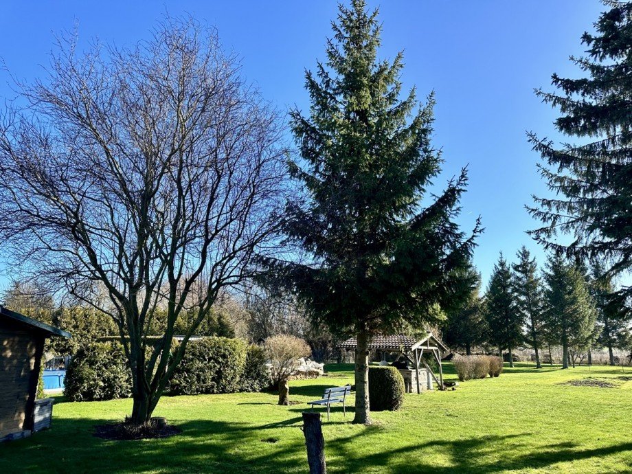 Garten Doppelhaush�lfte Papendorf