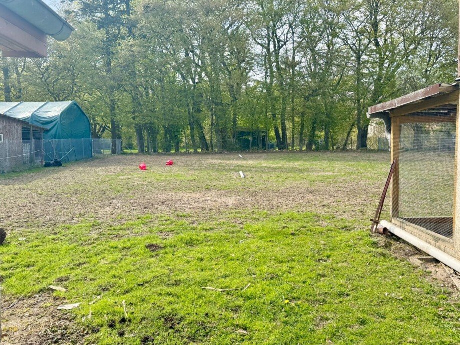 das Grundst�ck Einfamilienhaus Werder OT Wodarg