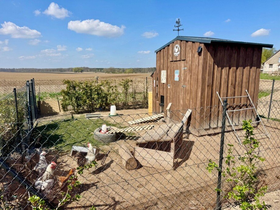 kleines Gehege mit H�hnerstall und jeden Tag ein frisches Ei Einfamilienhaus Lindetal