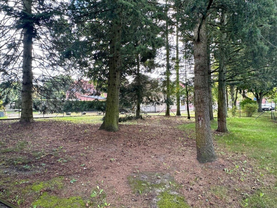 Grundst�ck Mehrfamilienhaus Eggesin