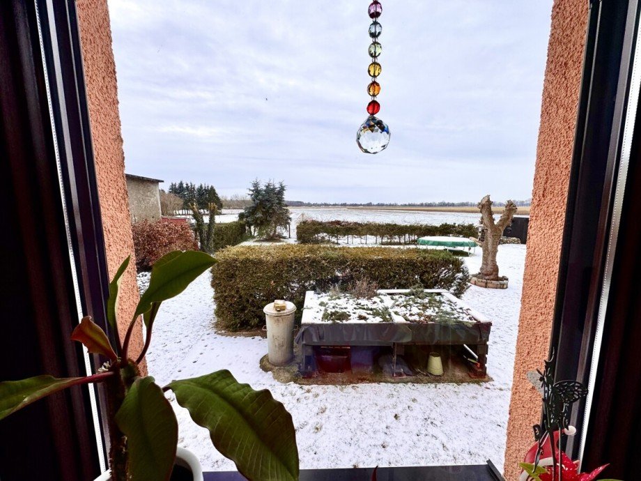 Blick aus dem Fenster Einfamilienhaus Wilhelmsburg