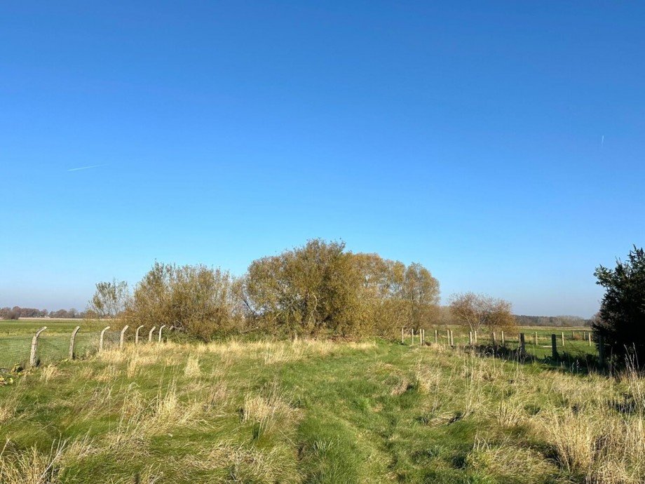 Grundst�ck Einfamilienhaus Torgelow