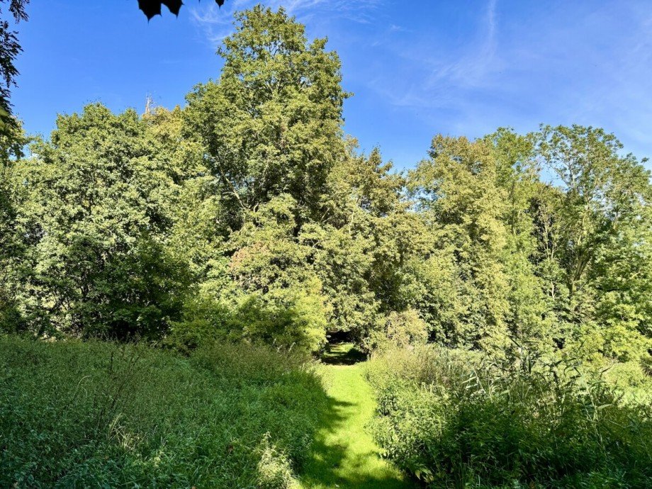 Umgebung Einfamilienhaus Breesen / Schwandt