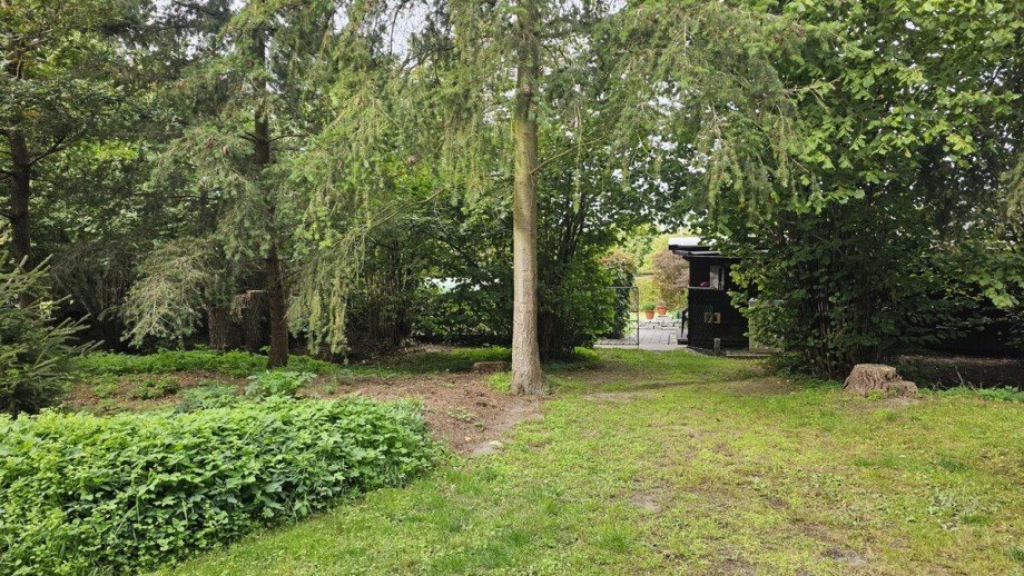 das Grundst�ck Ferienhaus Wokuhl-Dabelow / Carolinenhof